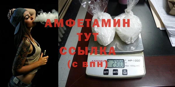 СК Алексин