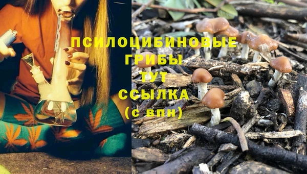 дмт Абинск