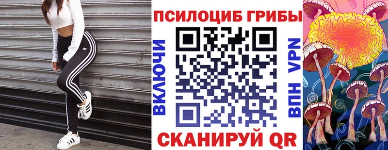 купить закладку blacksprut маркетплейс Псилоцибиновые грибы прущие грибы Ядрин